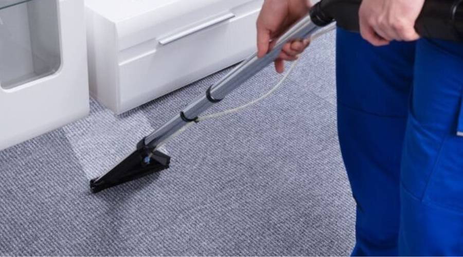 Complete Carpet Cleaning Guide