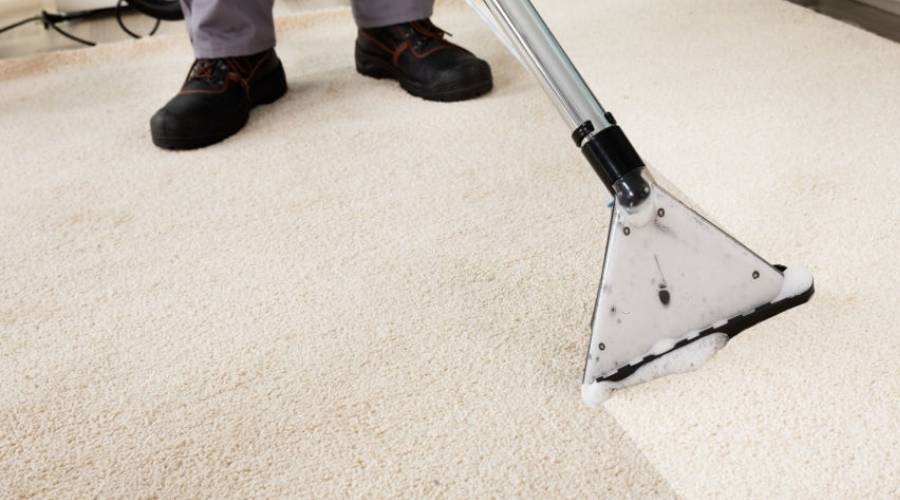 Guide to Finding the Best Carpet Cleaning Company
