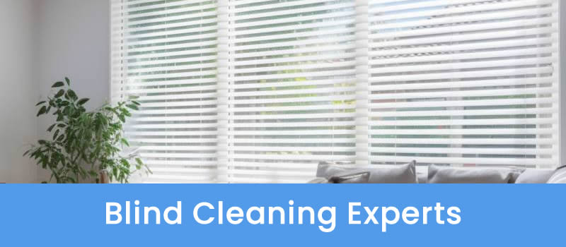 Professional Blind Cleaning Services