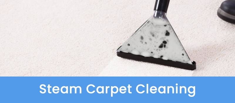 Gold Coast Carpet Steam Cleaners Steam Carpet Cleaning Gold Coast